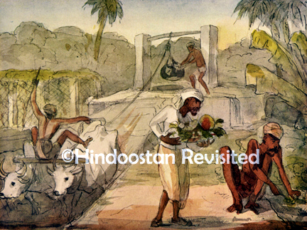 /data/Original Prints/Caricature, Humour/OUR GARDEN.jpg